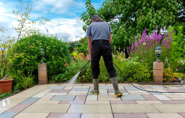 Best Winterizing Services  in Ruthers, CA